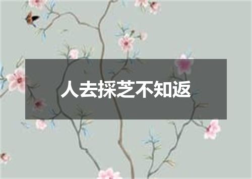 人去採芝不知返