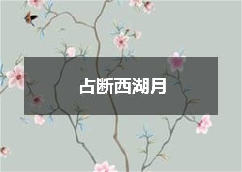 占断西湖月