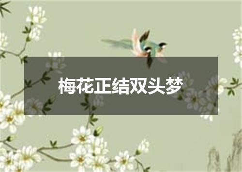 梅花正结双头梦