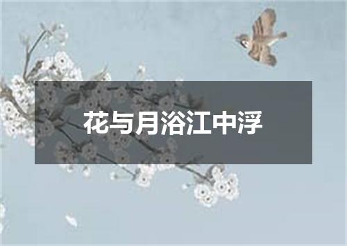 花与月浴江中浮