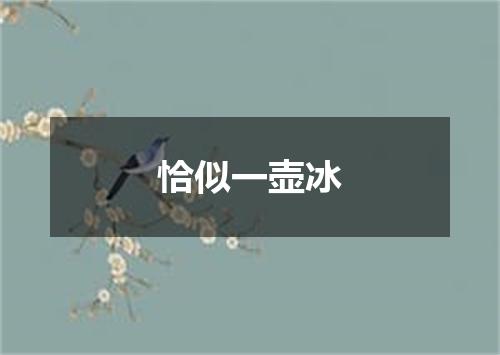 恰似一壶冰