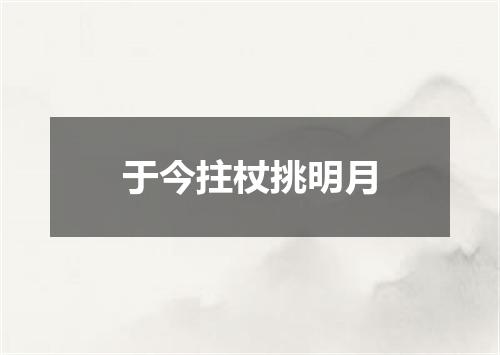 于今拄杖挑明月