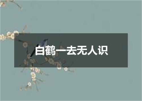 白鹤一去无人识