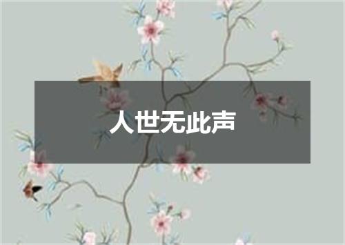 人世无此声