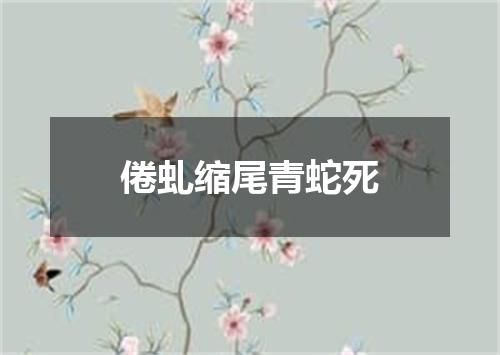 倦虬缩尾青蛇死