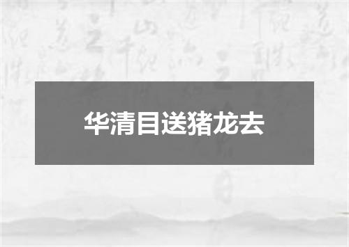 华清目送猪龙去