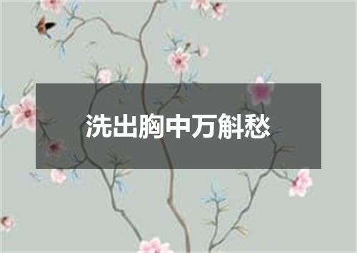 洗出胸中万斛愁