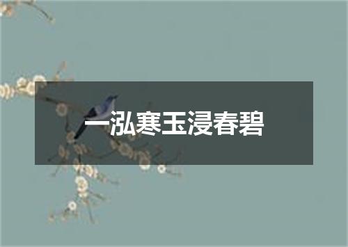 一泓寒玉浸春碧