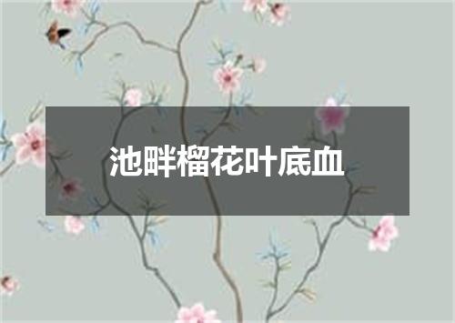 池畔榴花叶底血