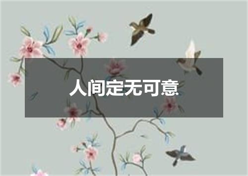 人间定无可意