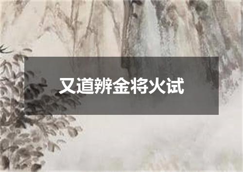 又道辨金将火试