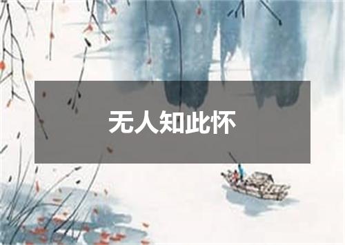 无人知此怀