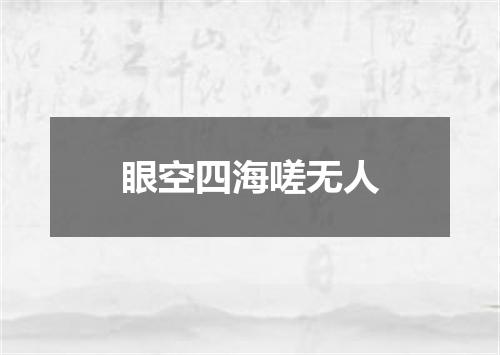 眼空四海嗟无人