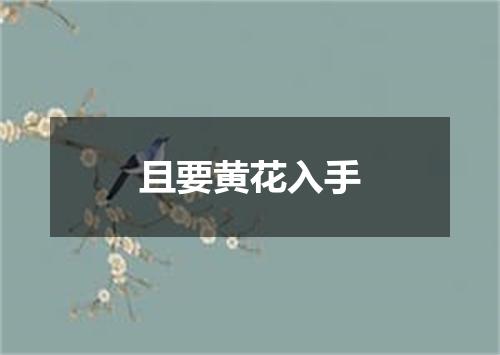 且要黄花入手