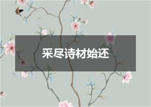 采尽诗材始还