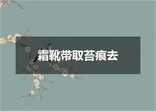 霜靴带取苔痕去