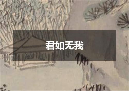 君如无我