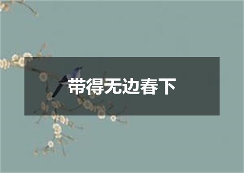 带得无边春下