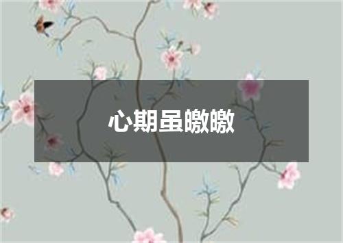 心期虽皦皦