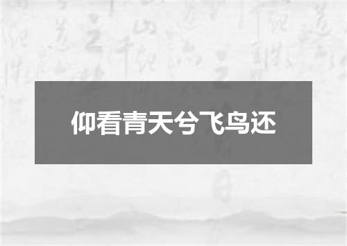 仰看青天兮飞鸟还