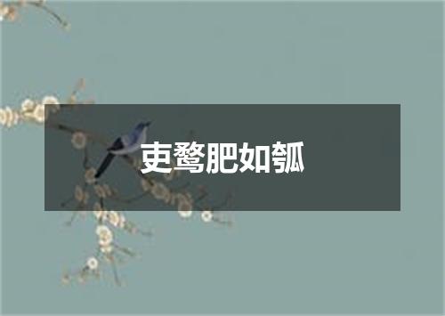 吏鹜肥如瓠