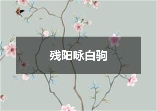 残阳咏白驹