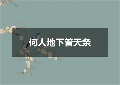 何人地下管天条