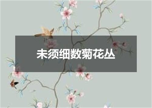 未须细数菊花丛