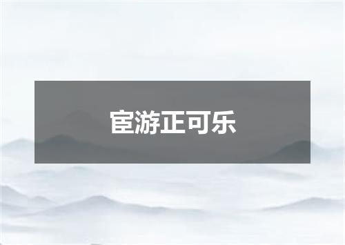 宦游正可乐