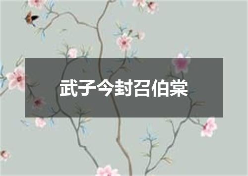 武子今封召伯棠