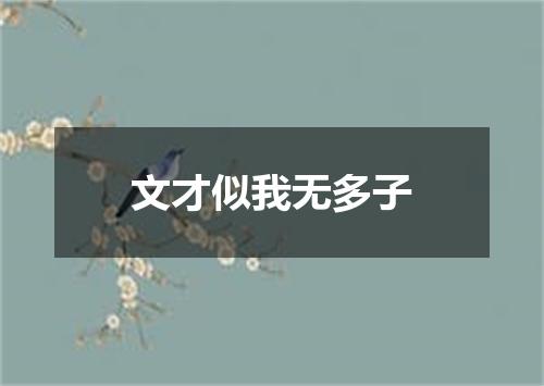 文才似我无多子