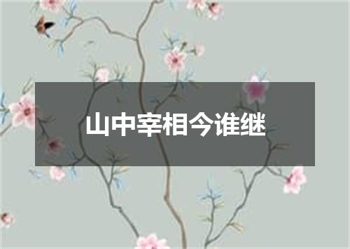 山中宰相今谁继