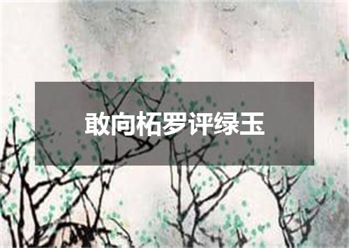 敢向柘罗评绿玉