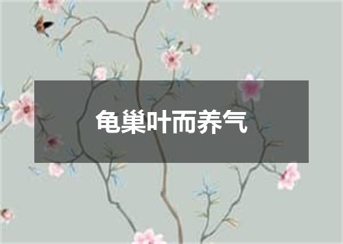 龟巢叶而养气