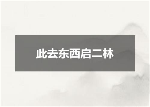 此去东西启二林