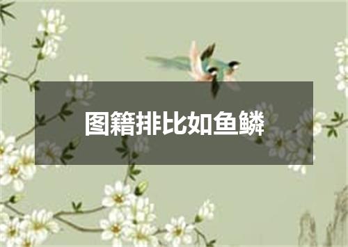 图籍排比如鱼鳞