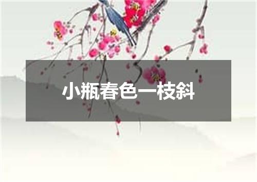 小瓶春色一枝斜