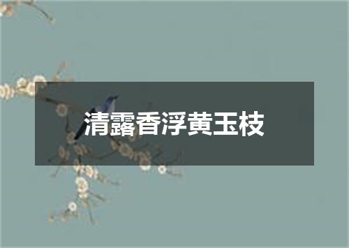 清露香浮黄玉枝