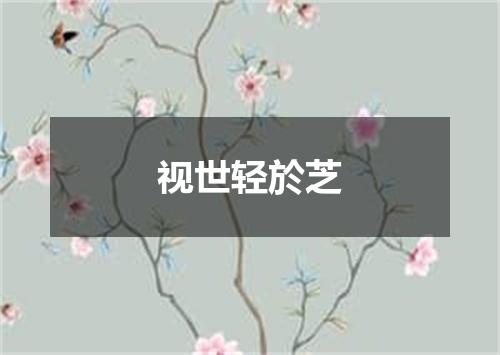 视世轻於芝