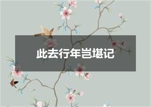 此去行年岂堪记