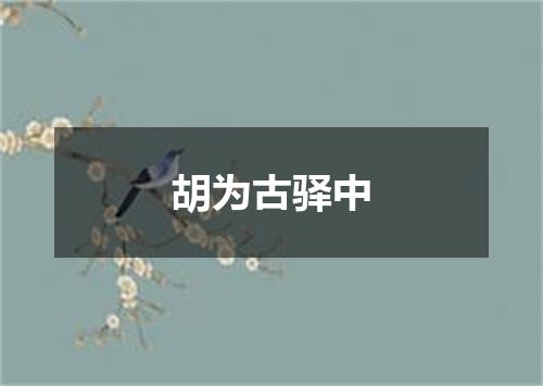 胡为古驿中