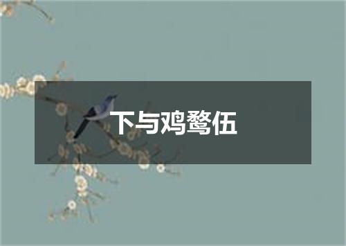 下与鸡鹜伍