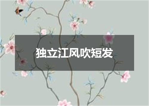 独立江风吹短发