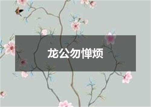 龙公勿惮烦