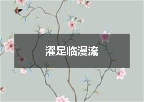 濯足临漫流