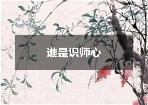 谁是识师心