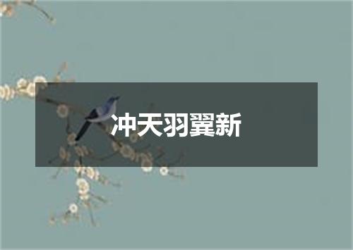 冲天羽翼新