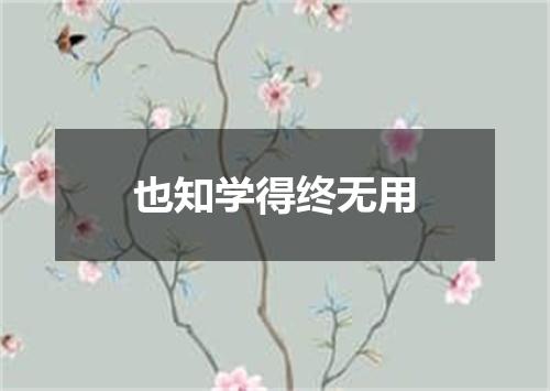 也知学得终无用