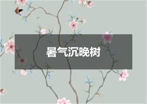 暑气沉晚树