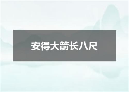 安得大箭长八尺